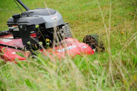 Best Type Of Oil For Your Lawn Mower