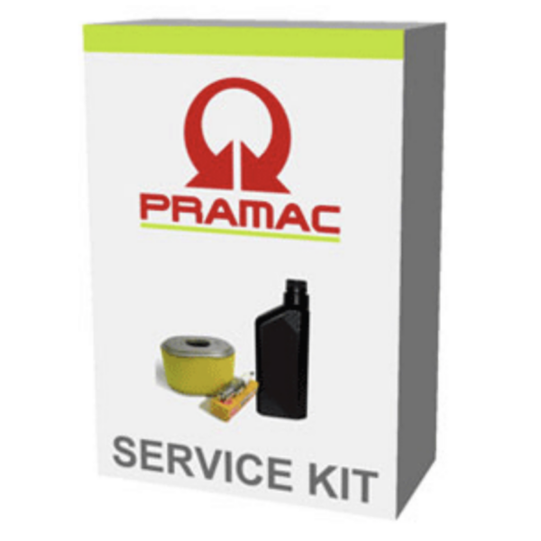 Pramac E5000 / E6900 / W200 / PW240 / PW3000 Generator Service Kit